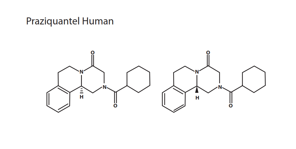 Praziquantel