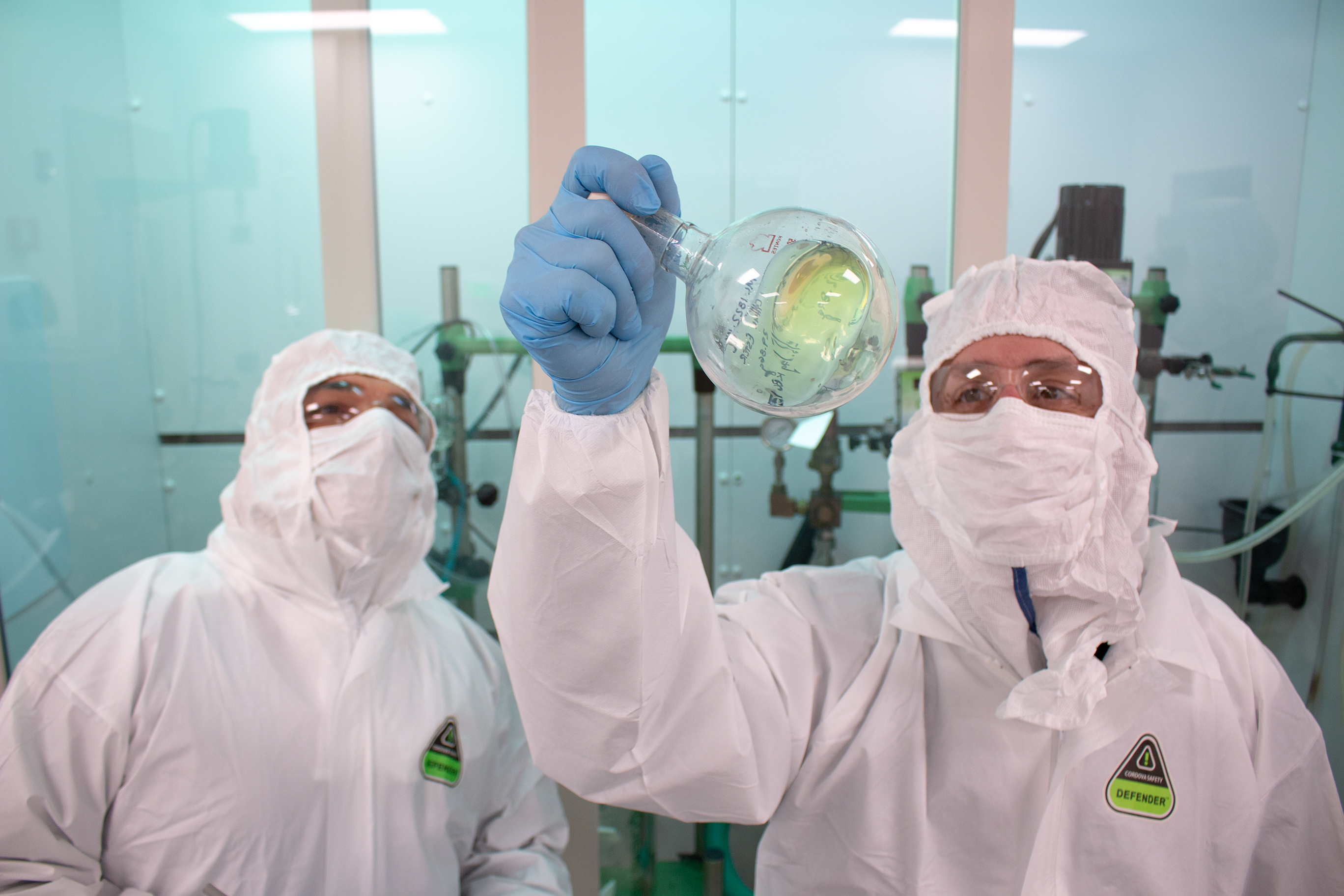 Process Development Services
