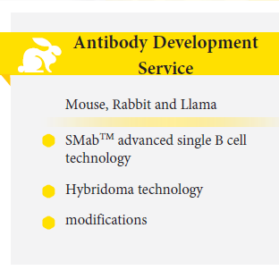 Products and Services