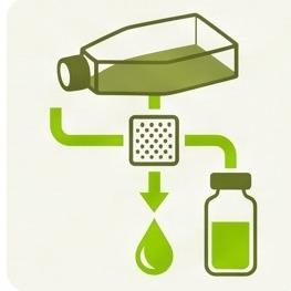 Protein Expression & Purification Service