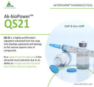 Q-Amply™ QS 21 Cas# 141256-04-4