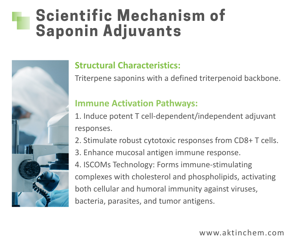 Q-Amply™ Saponin-Based Adjuvants 3