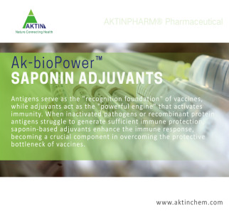 Q-Amply™ Saponin-Based Adjuvants