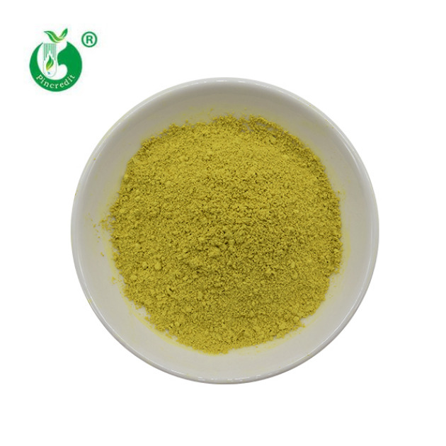 Quercetin Powder