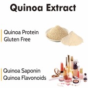 Quinoa Powder