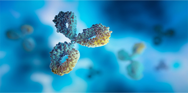 Rabbit Monoclonal Antibody Discovery Service