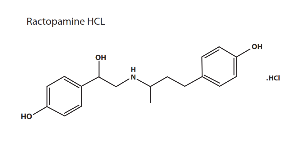 Ractopamine Hydrochloride