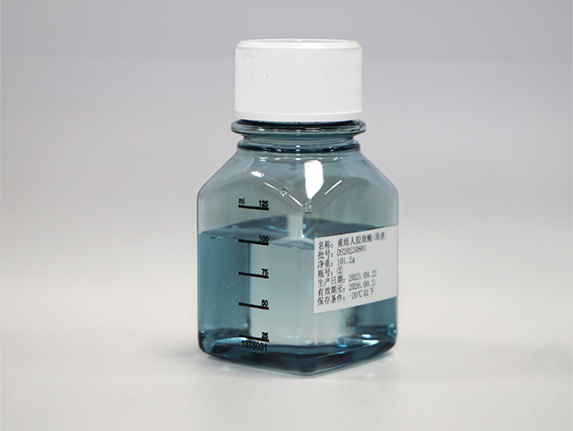 Recombinant Collagenase 2