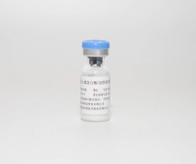 Recombinant Human Chymotrypsin