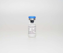 Recombinant Trypsin