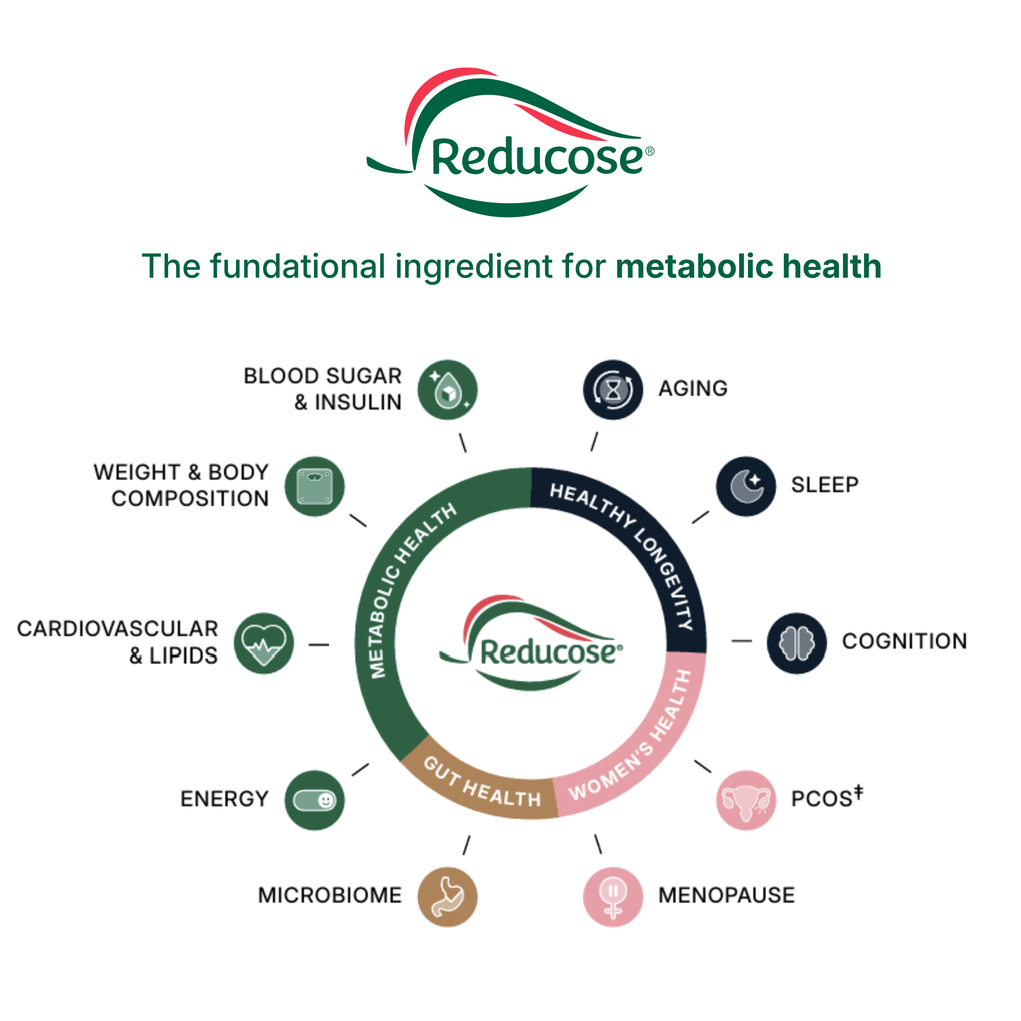 Reducose® 2
