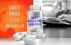 Regulatory Services
