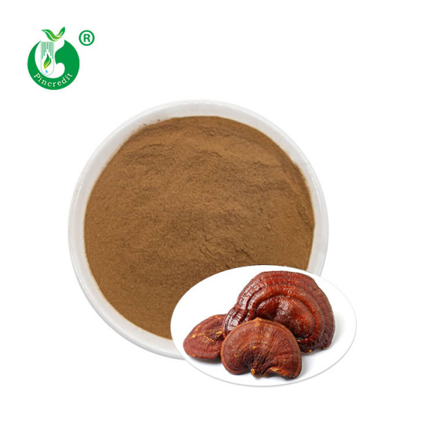 Reishi Mushroom Extract