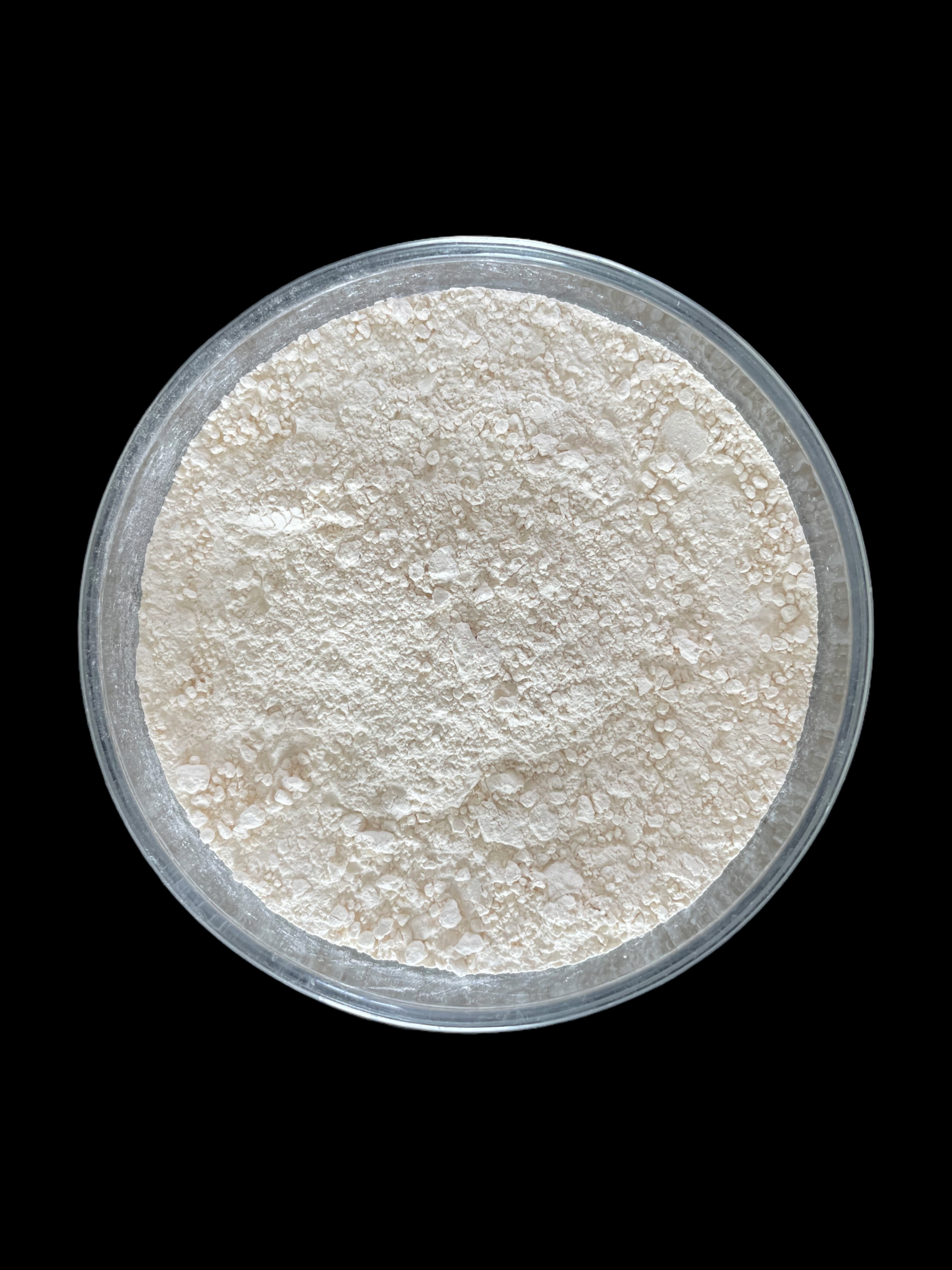 Resveratrol/POLYGONUM CUSPIDATUM EXTRACT