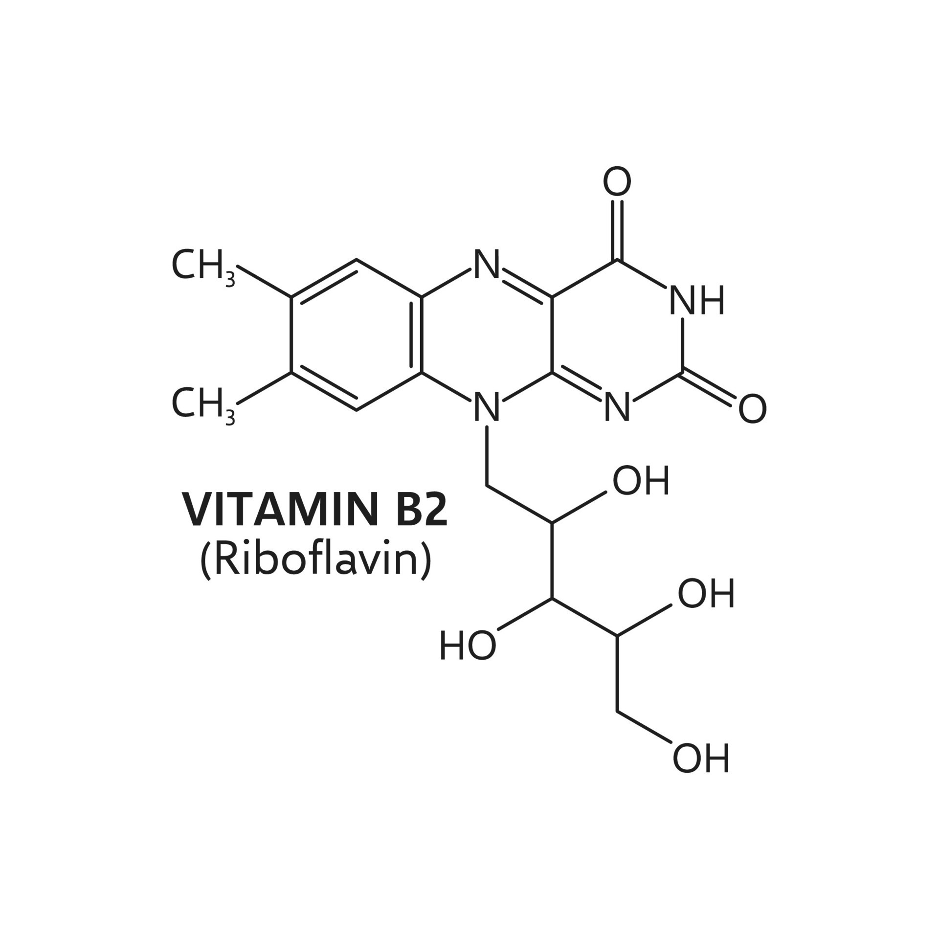 Riboflavin Universal (Vitamin B2)