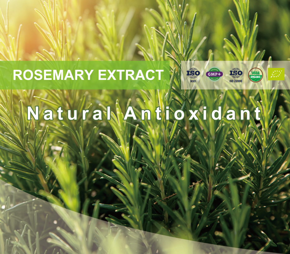 Rosemary Extract