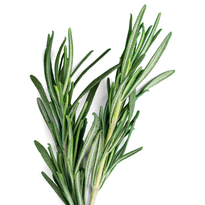 Rosemary Oil