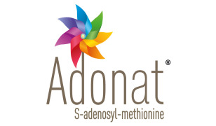 S-Adenosyl methionine