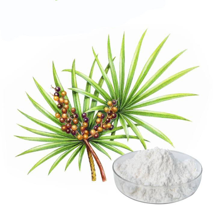 Saw Palmetto Extract 1