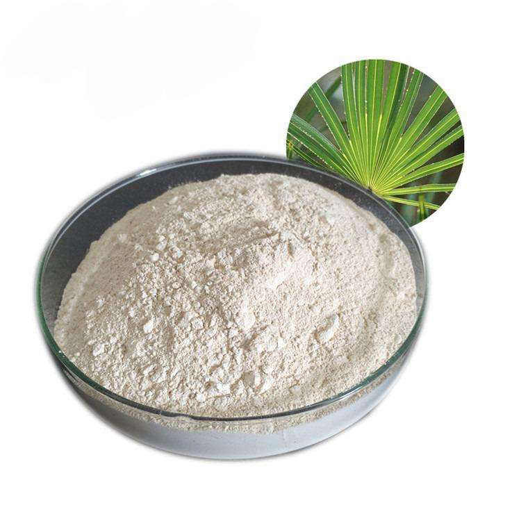 Saw Palmetto Extract 2