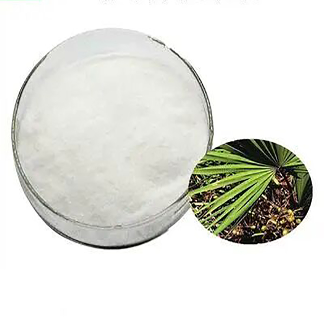 Saw Palmetto Extract 3