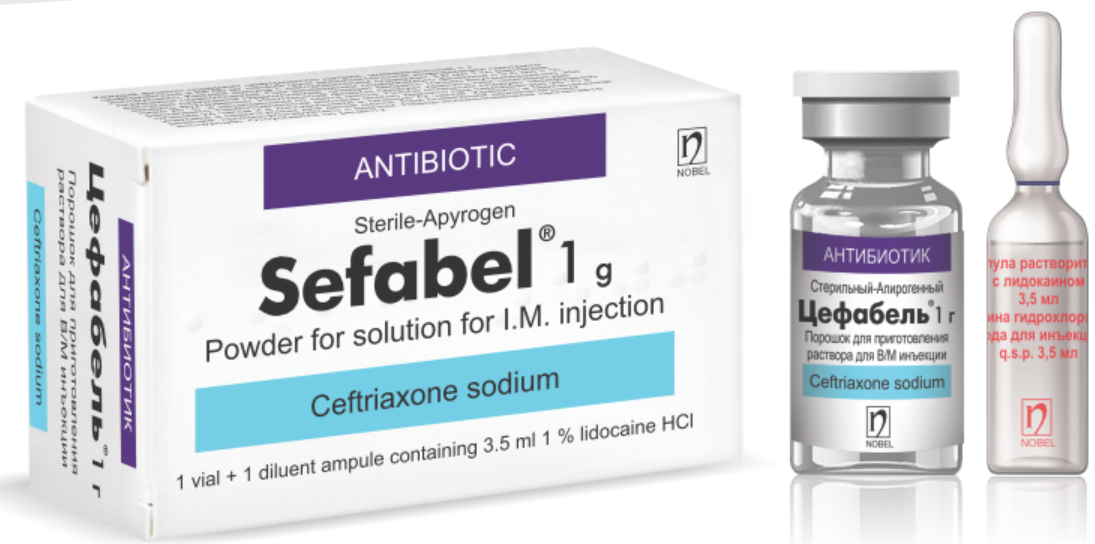 Sefabel IM (Ceftriaxone) 0.5 g, 1 g IM Powder for Solution Injection