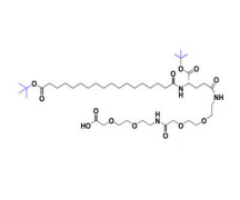 Semaglutide side chain CAS 1118767-16-0