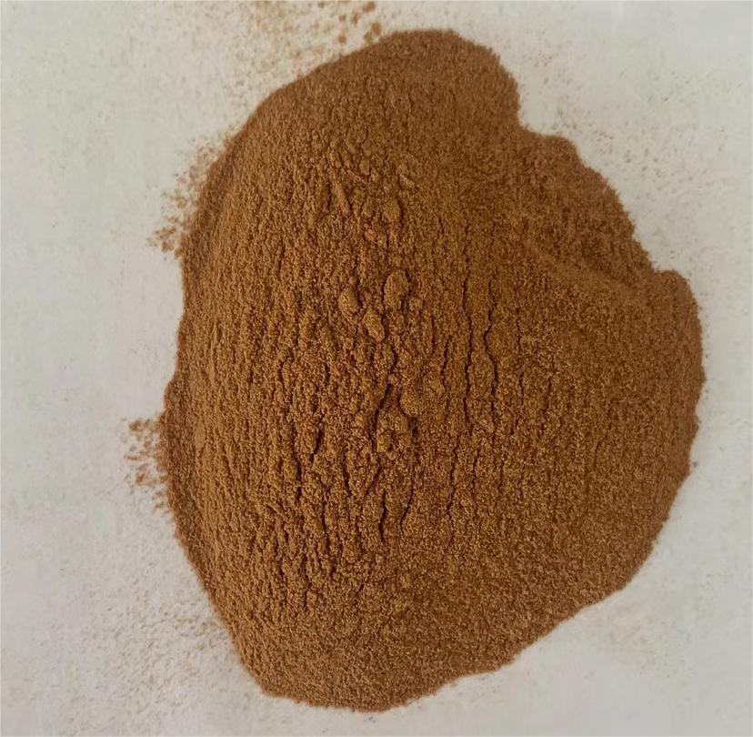 Semen ziziphi spinosae extract 2