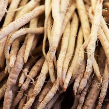 Shatavari Extract