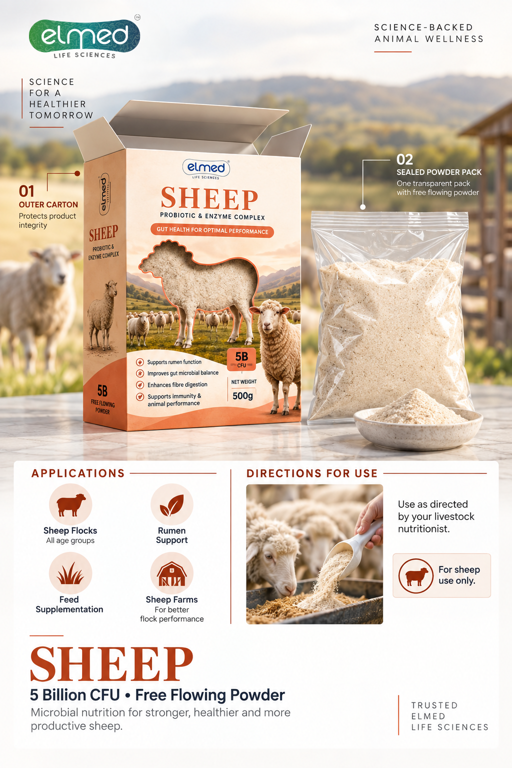 SHEEP 1