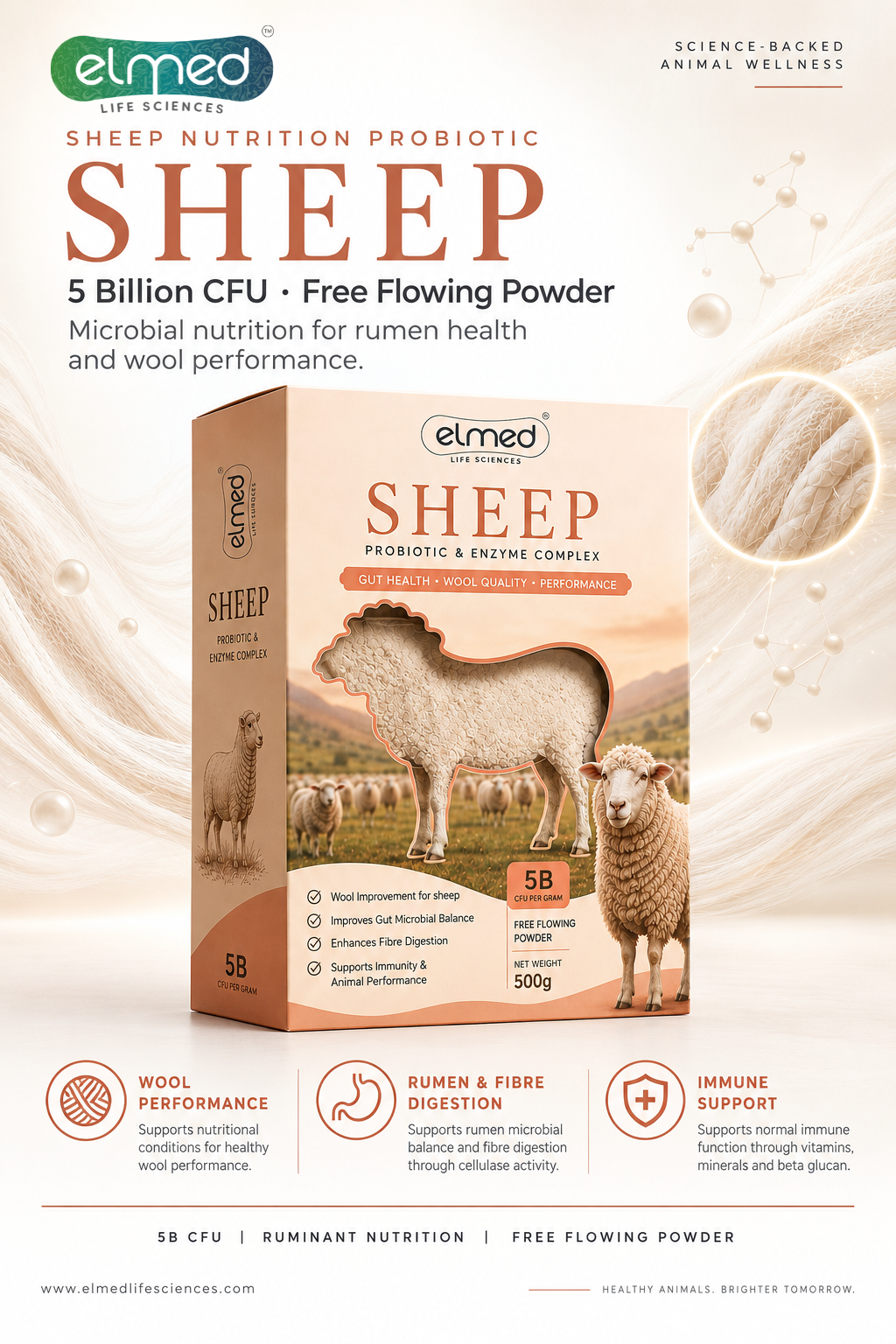 SHEEP 2