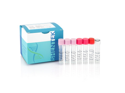 SHENTEK® Host Cell Residual DNA/Protein/RNA kits
