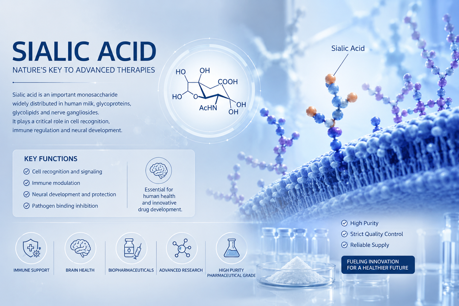 sialic acid