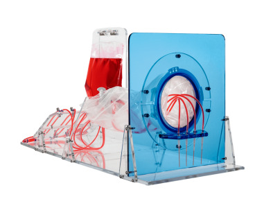 Single-Use Filling Assemblies