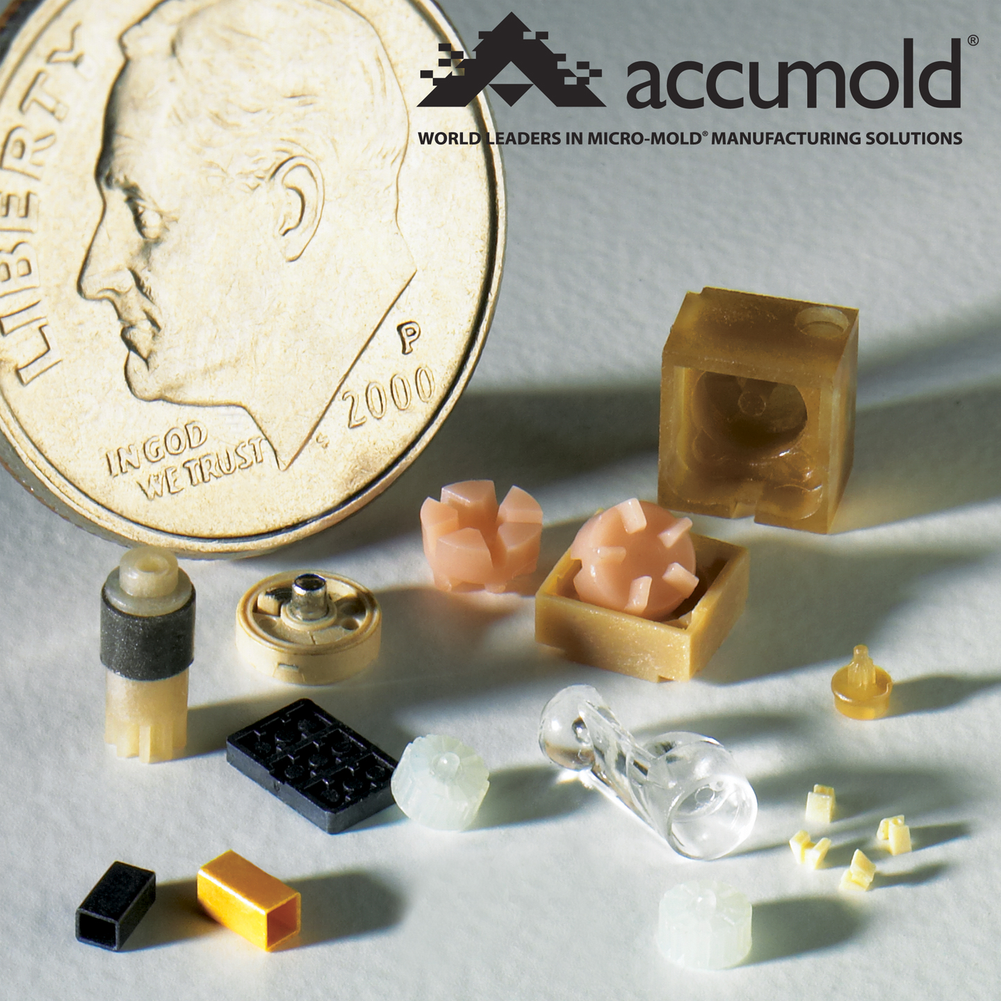 Small Mold 3