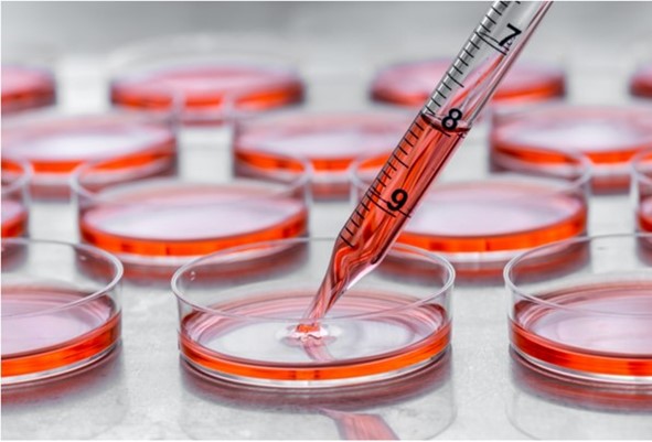 Small Molecules for Cell Therapy 1