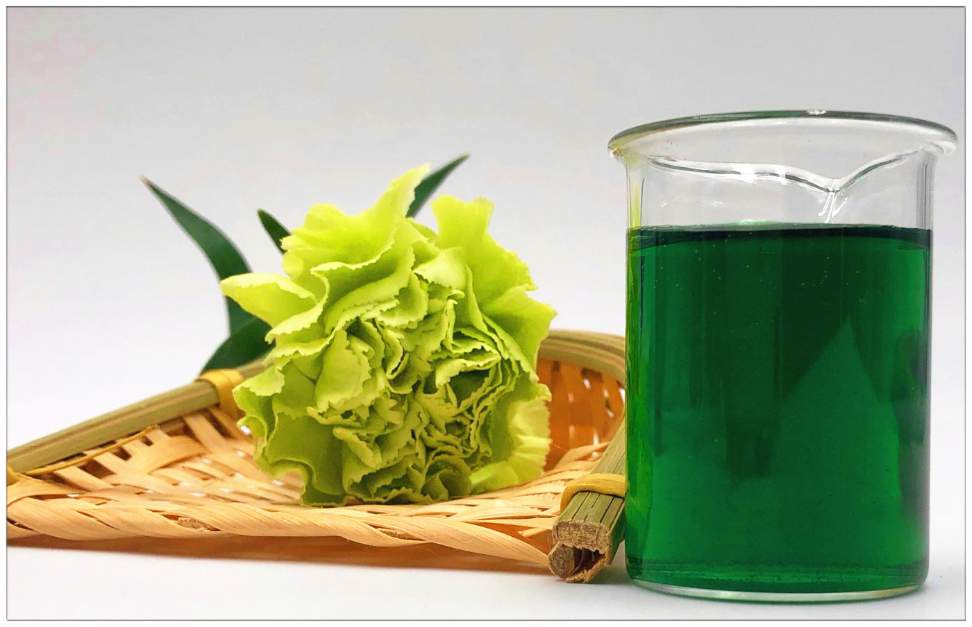 sodium copper  chlorophyllin