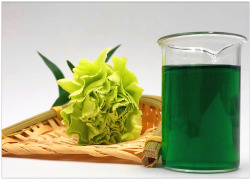 sodium copper  chlorophyllin