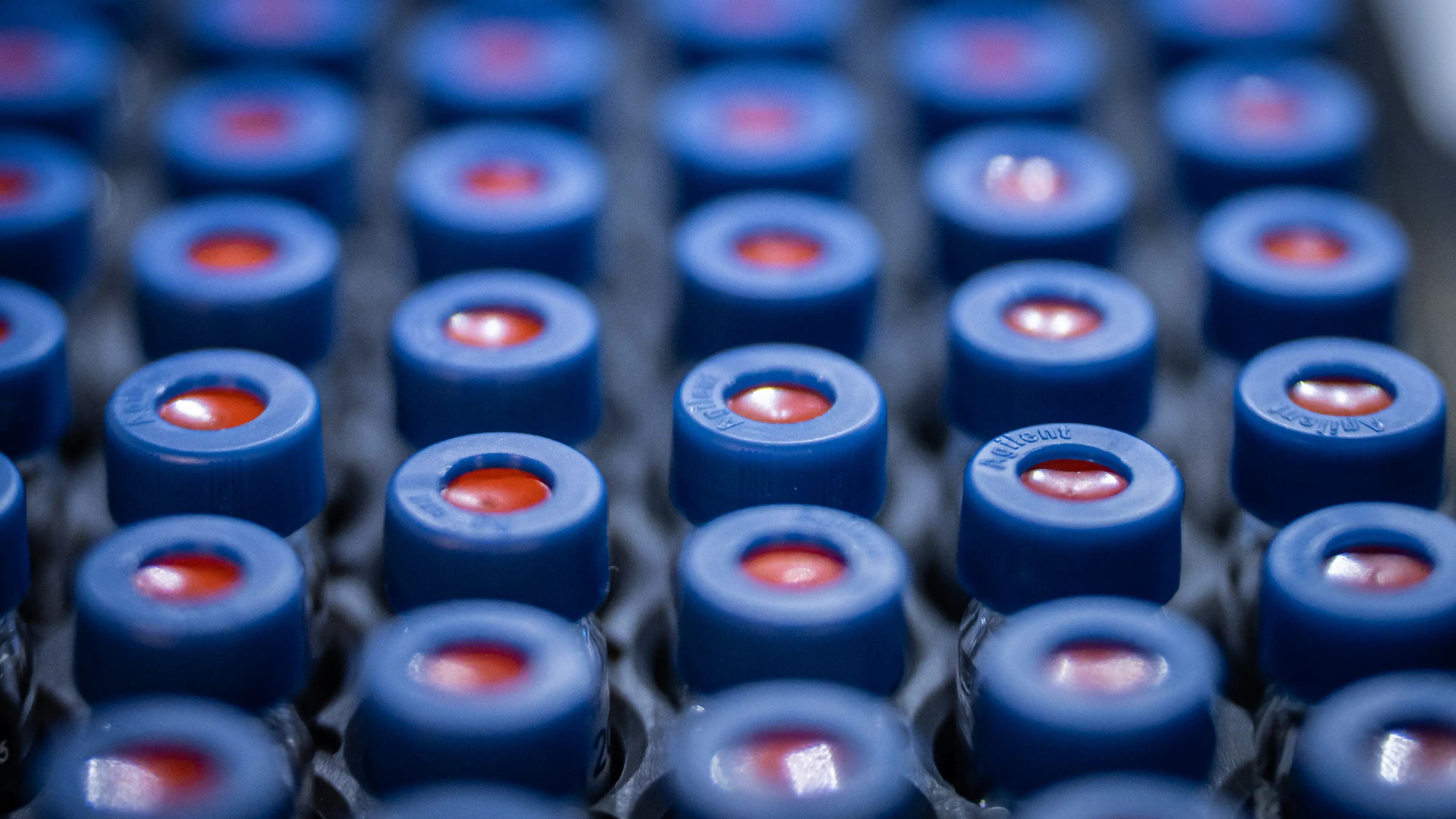 Solid state screenings & investigations 1