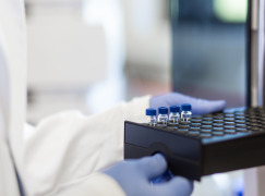 Solid state screenings & investigations