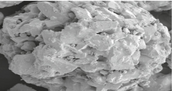 SPRAYLAC™ – (LACTOSE MONOHYDRATE)