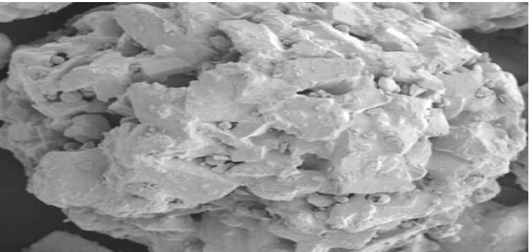 SPRAYLAC™ – (LACTOSE MONOHYDRATE)