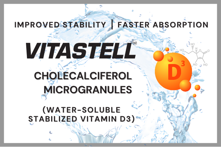 Stabilized Vitamin D3 Aqueous Formulations