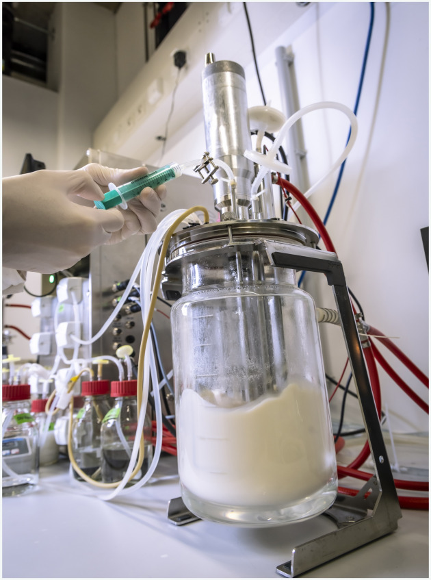 Strain development