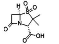Sulbactam Acid