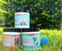 Supplevets