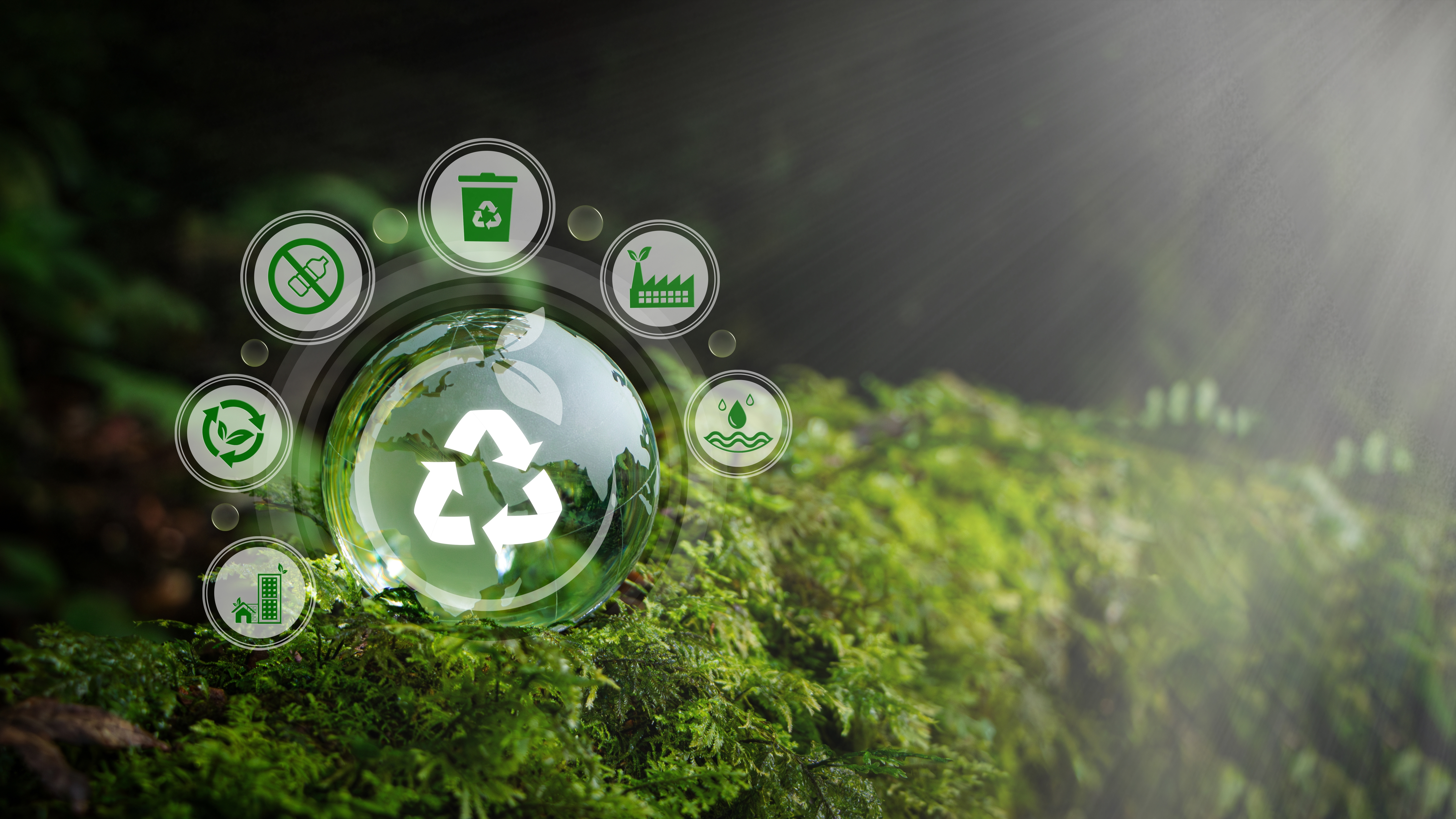Sustainability Solutions 2