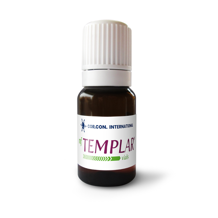 Templar 2