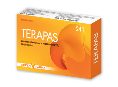 TERAPAS