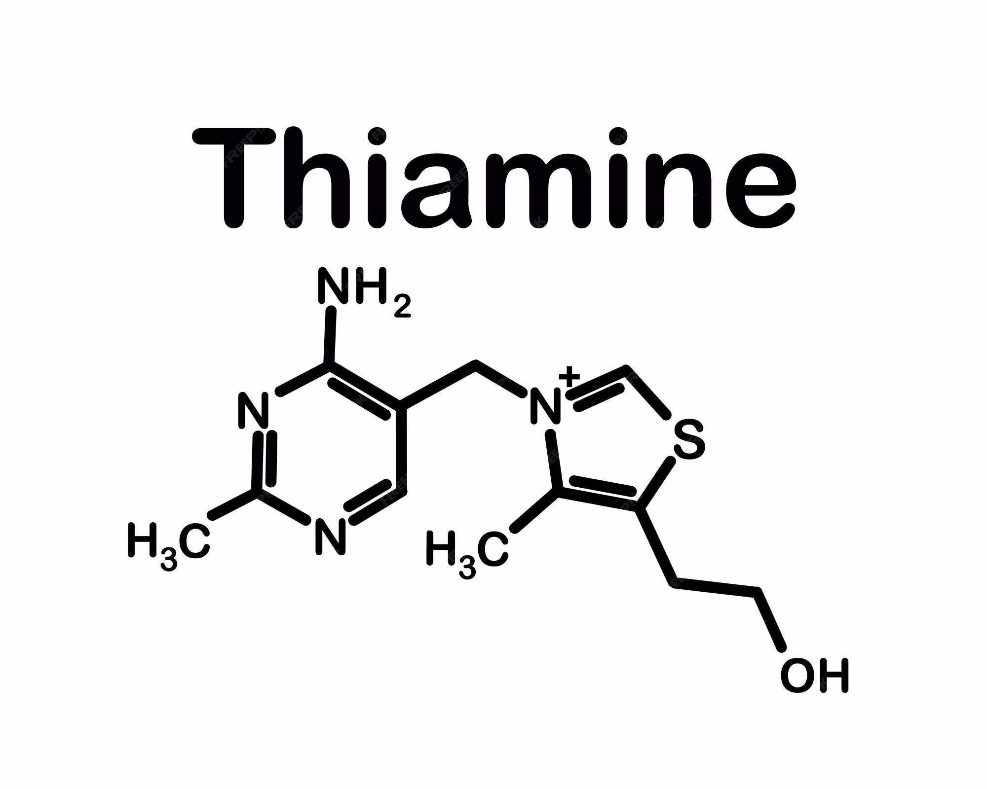 Thaimine Hydrochloride / Mononitrate